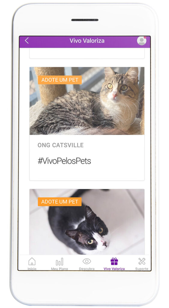 App Vivo Valoriza ONGS para adoção de pets - Revista Shopping Centers
